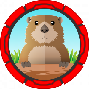 Gofer