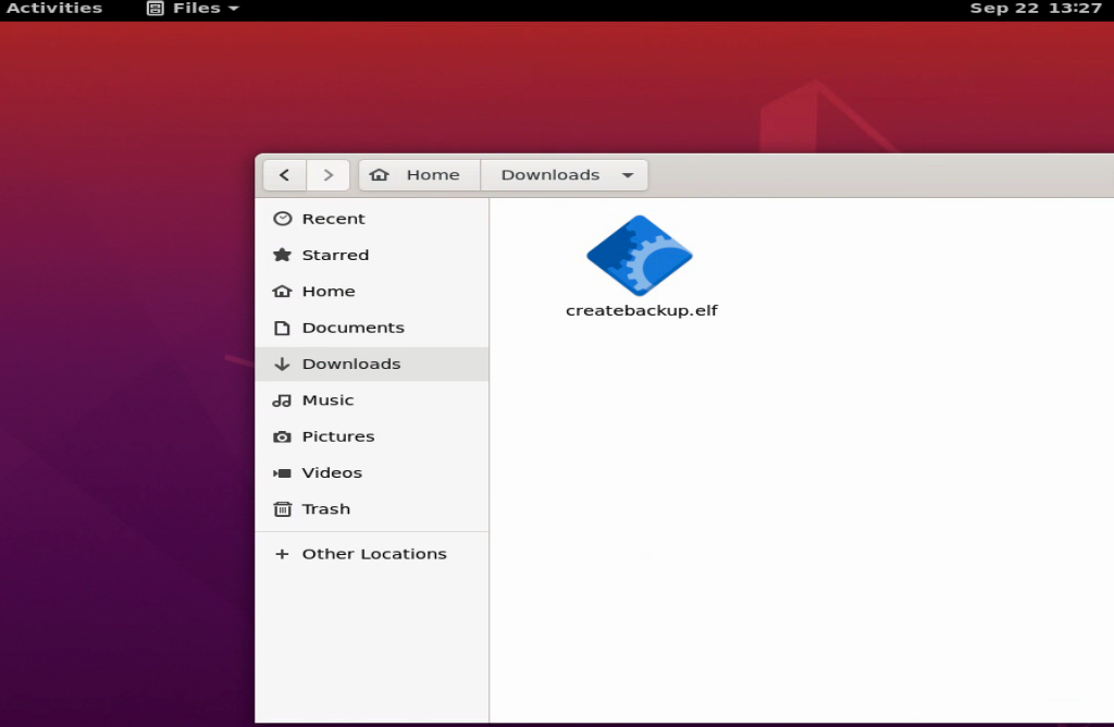 Linux Payload 文件示例